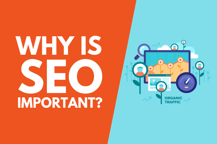 SEO is important for your business