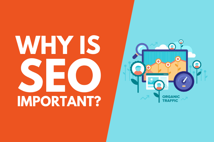 SEO Agency