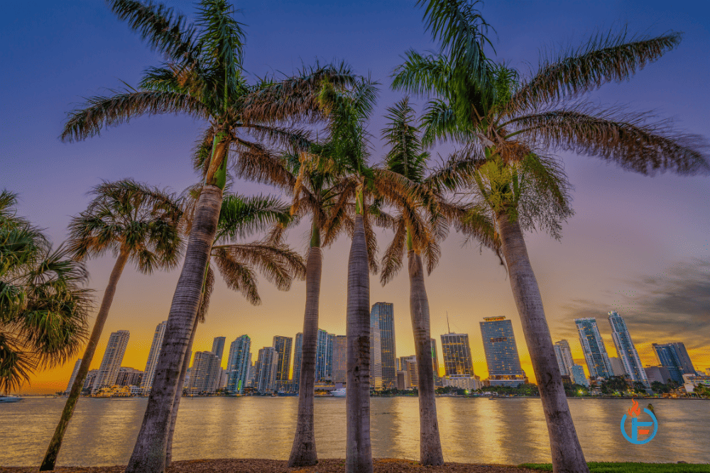 Miami Florida skyline Biscayne bay - What are effective SEO strategies for Florida companies