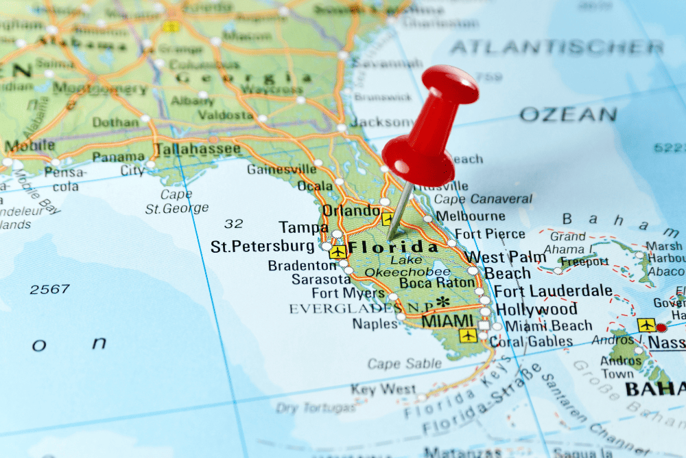 How to use Google Ads effectively in Florida's market - Florida demographic