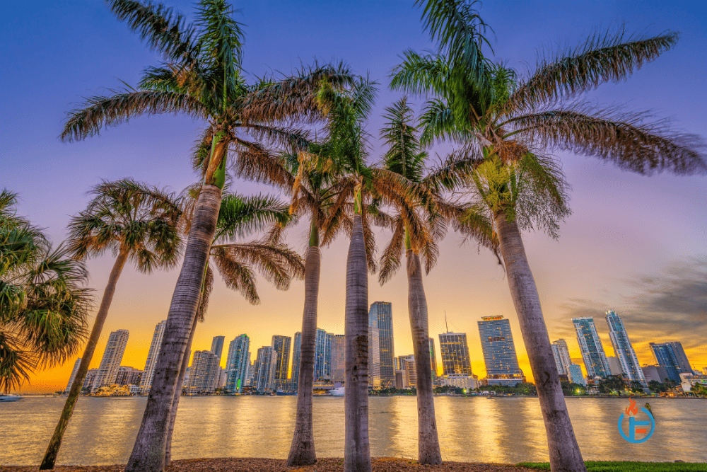 Is Search Engine Optimization for Florida Businesses Worth It